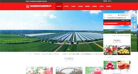 企業(yè)網(wǎng)站、程序軟件App解決方案